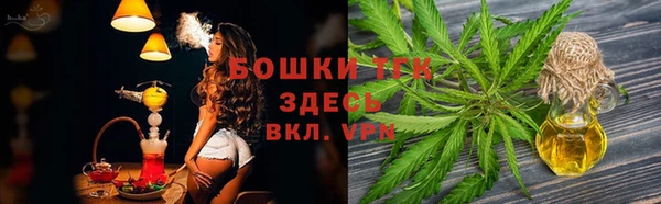 молекула духа Бородино