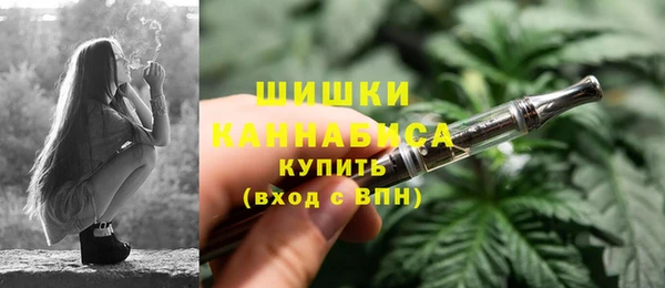 молекула духа Бородино