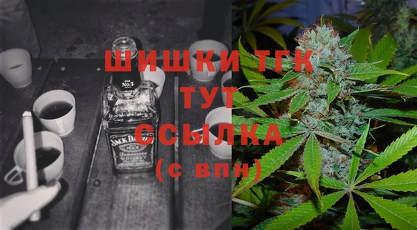 молекула духа Бородино