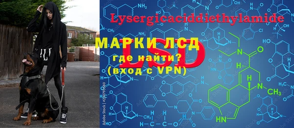 молекула духа Бородино
