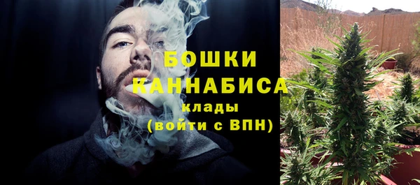 mdpv Бугульма